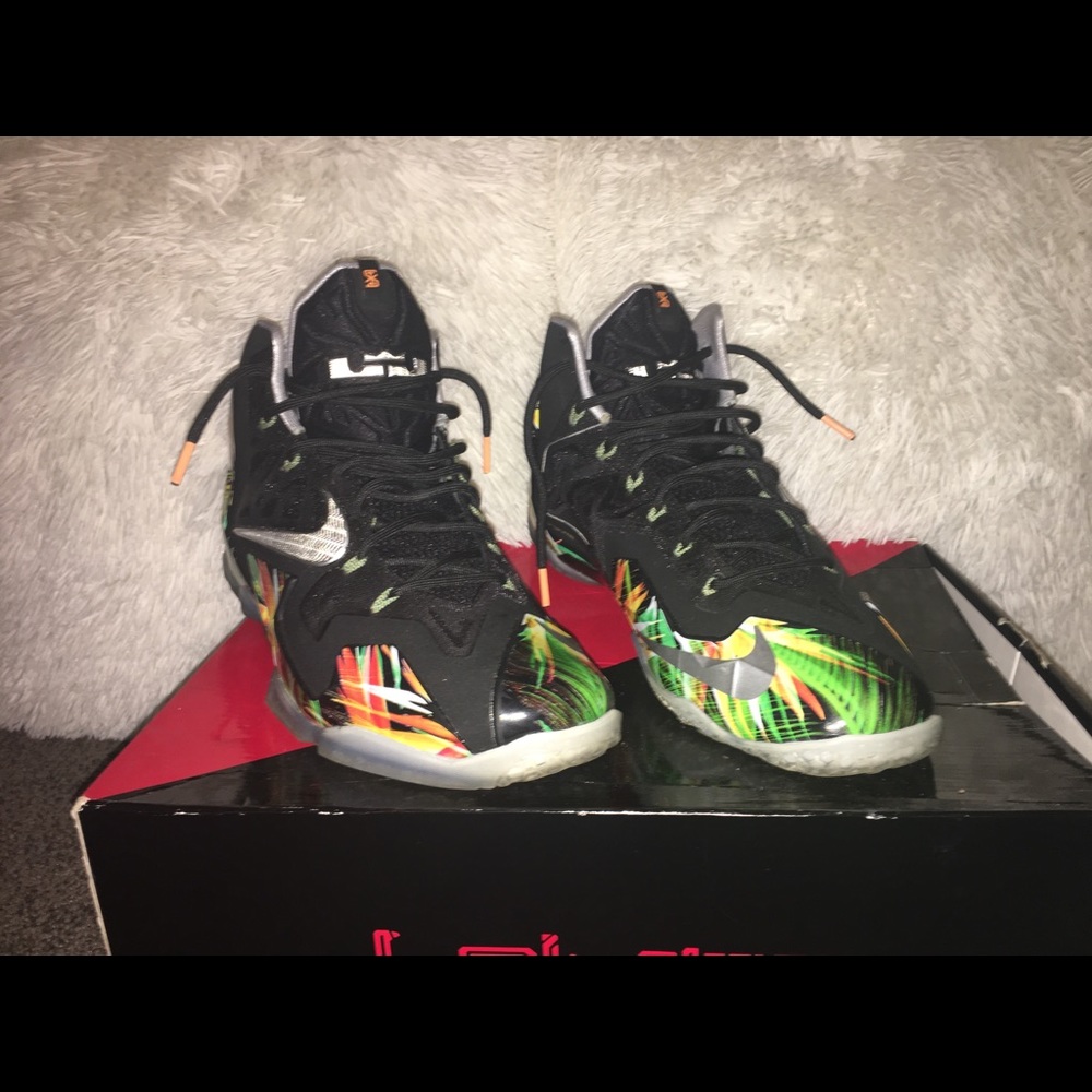 Nike Lebron Sneakers